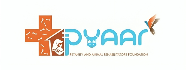Pyaar Foundation Logo